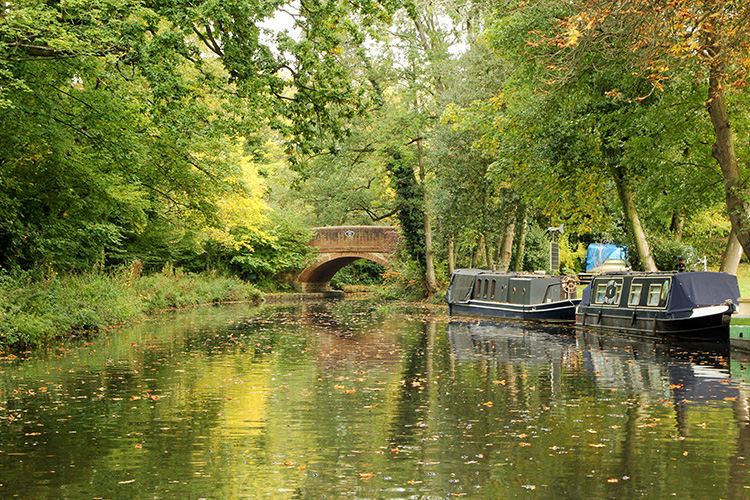 Basingstoke